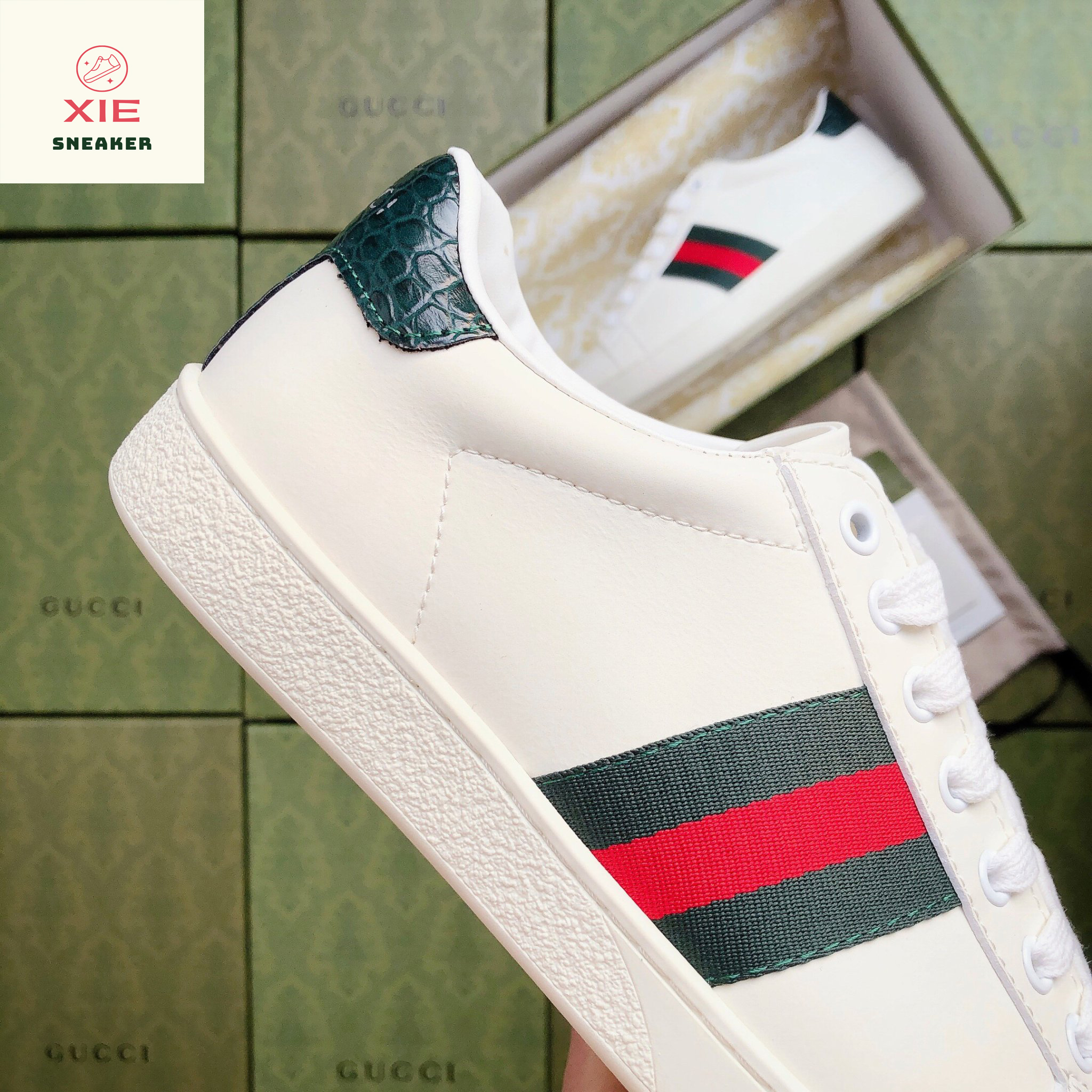 Giày Gucci ACE Trơn - 1.1 + [Tặng thêm 1 bộ dây + FreeShip + Full Box + Bill + Phụ Kiện]