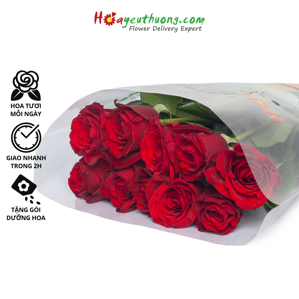 Hoa Hồng Đỏ Nhung Hoayeuthuong - hoa tươi Đà Lạt trang trí nhà cửa, văn phòng