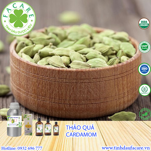 Tinh dầu Thảo Quả Cardamom essential oil - 10ml