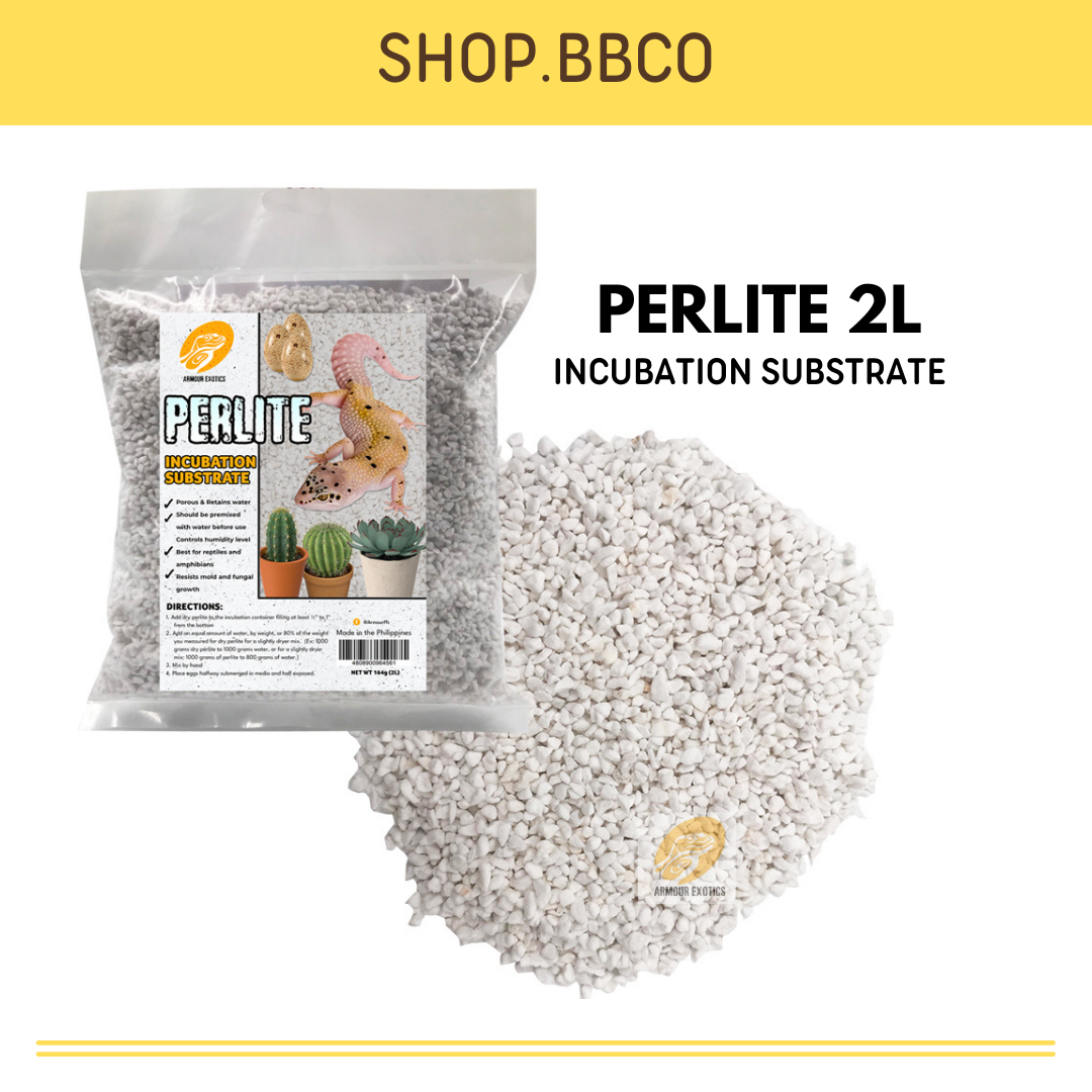 2L Incubation Substrate Perlite Reptile Eggs Incubator Lazada PH