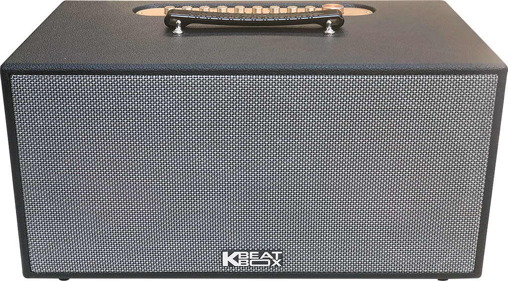 Loa karaoke di động Acnos CS450 600W