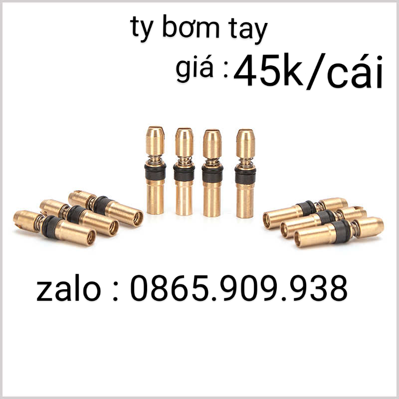ty bơm tay cao áp