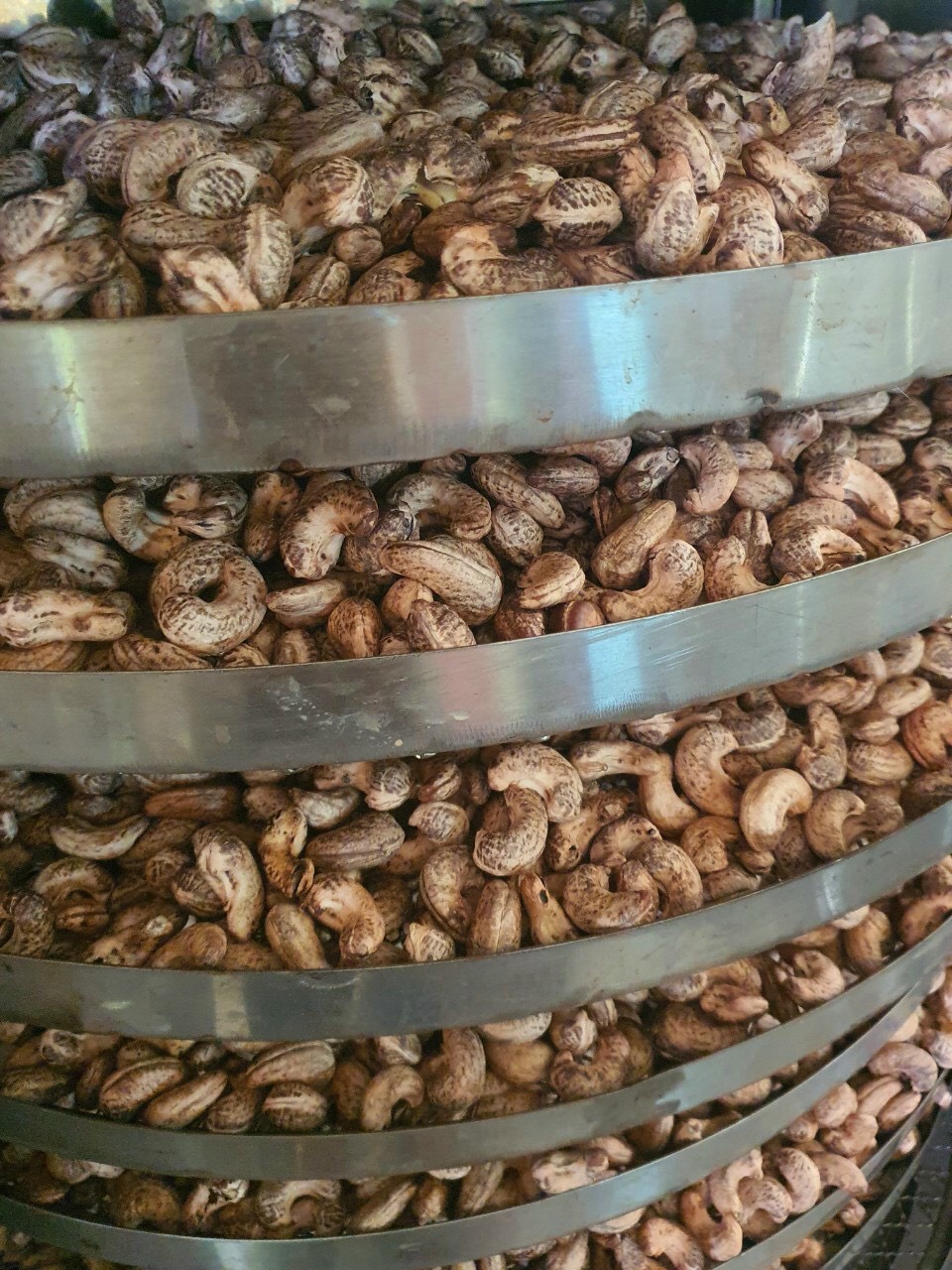 Hạt Điều Rang Muối Bình Phước Nguyên Vỏ Lụa Hộp 500gr