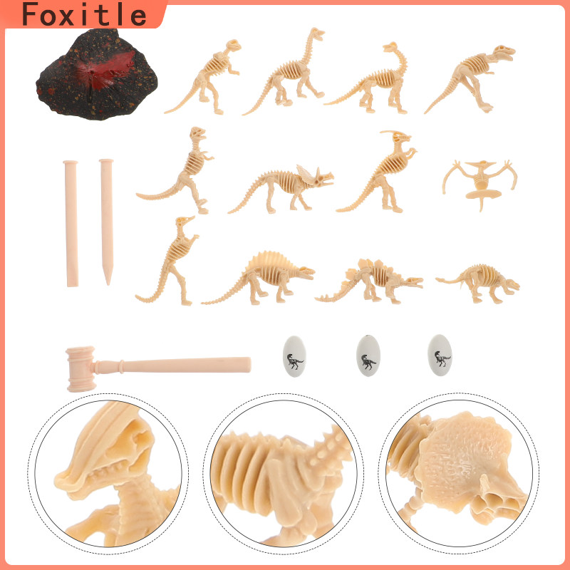 Foxitle 19 Cái hình Bộ xương Khủng long hình Giảng dạy Đồ chơi Khảo cổ cho