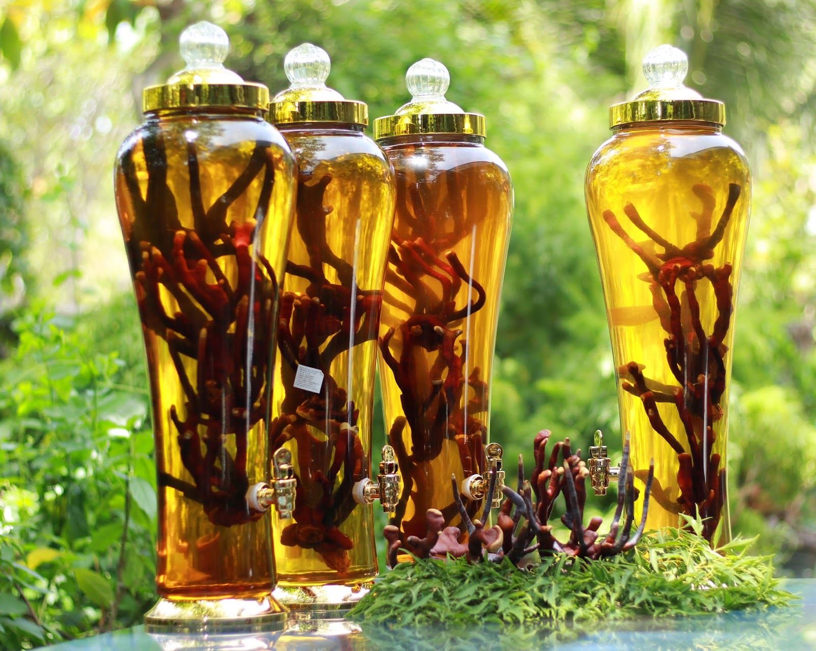 Nấm Linh Chi sừng hươu Hàn Quốc ( túi 1kg )
