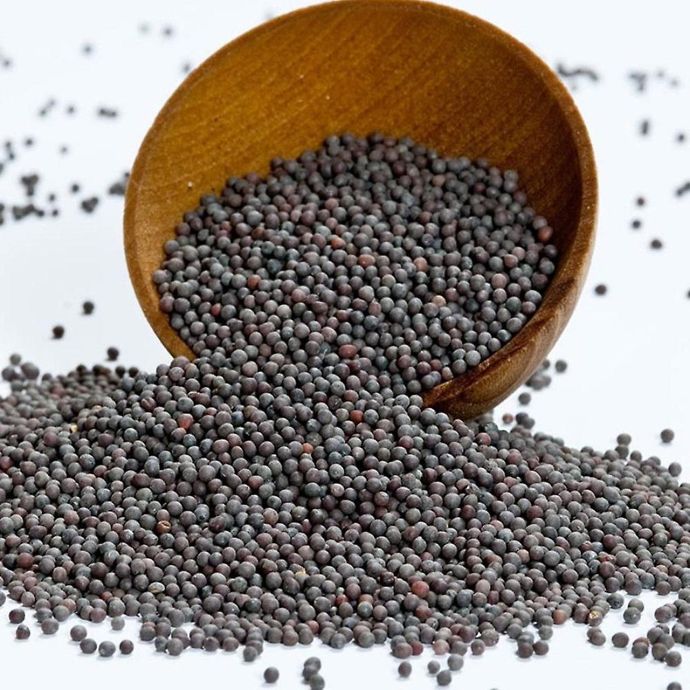 Hạt mù tạt đen, vàng Ấn Độ – Mustard Seed