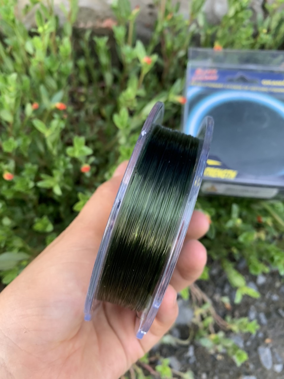 CƯỚC 4 CON CÁ CƠM OKAMOTO DÀI 250M