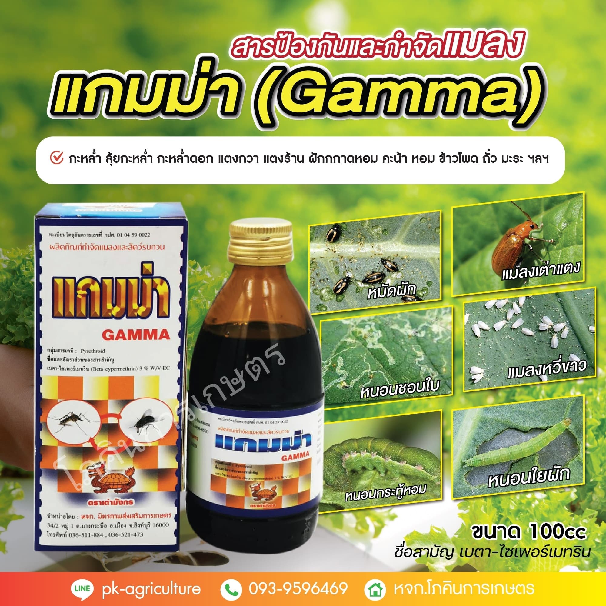My Image 23