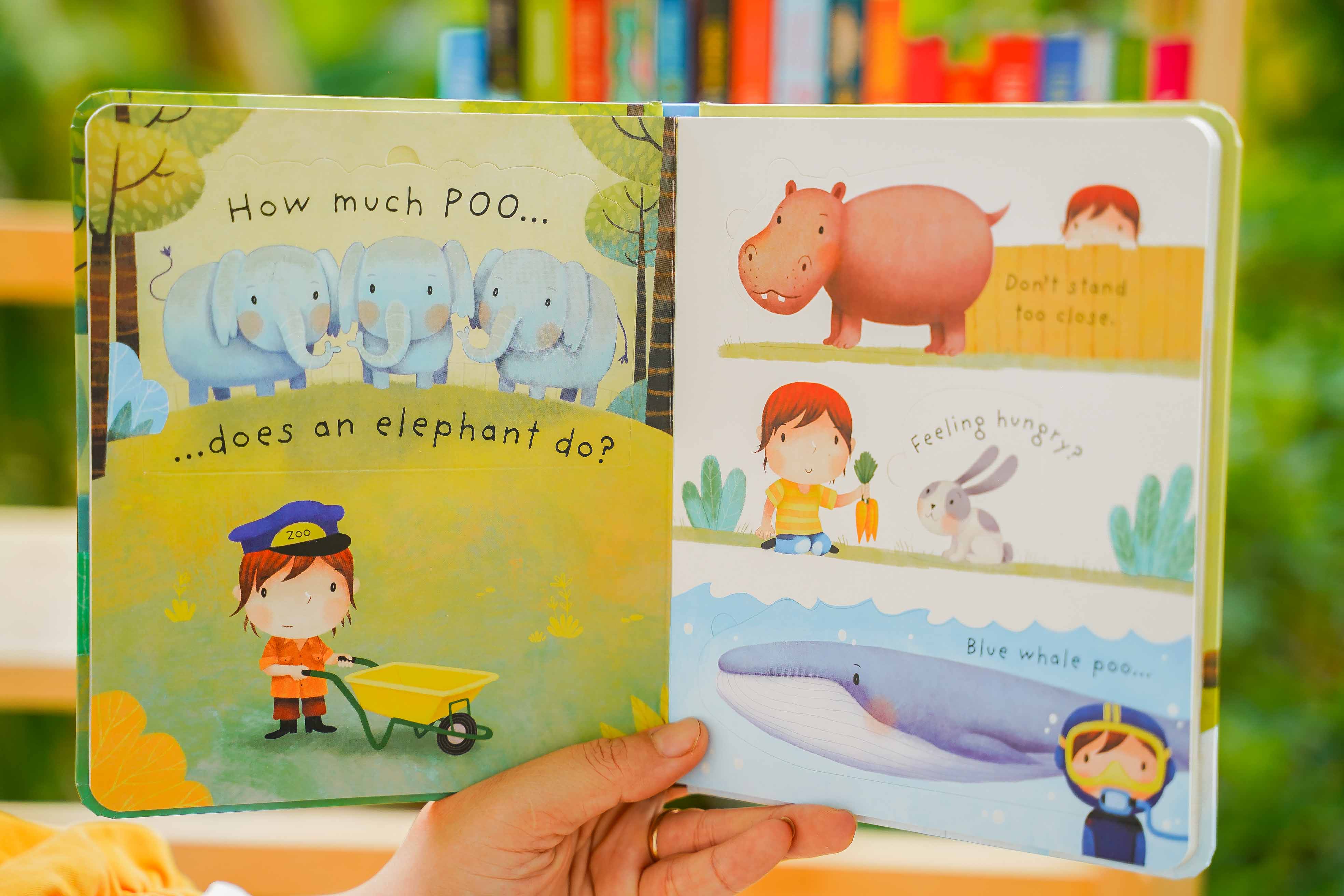 Sách tiếng Anh Usborne lật mở khám phá Lift the Flap very first question and answer