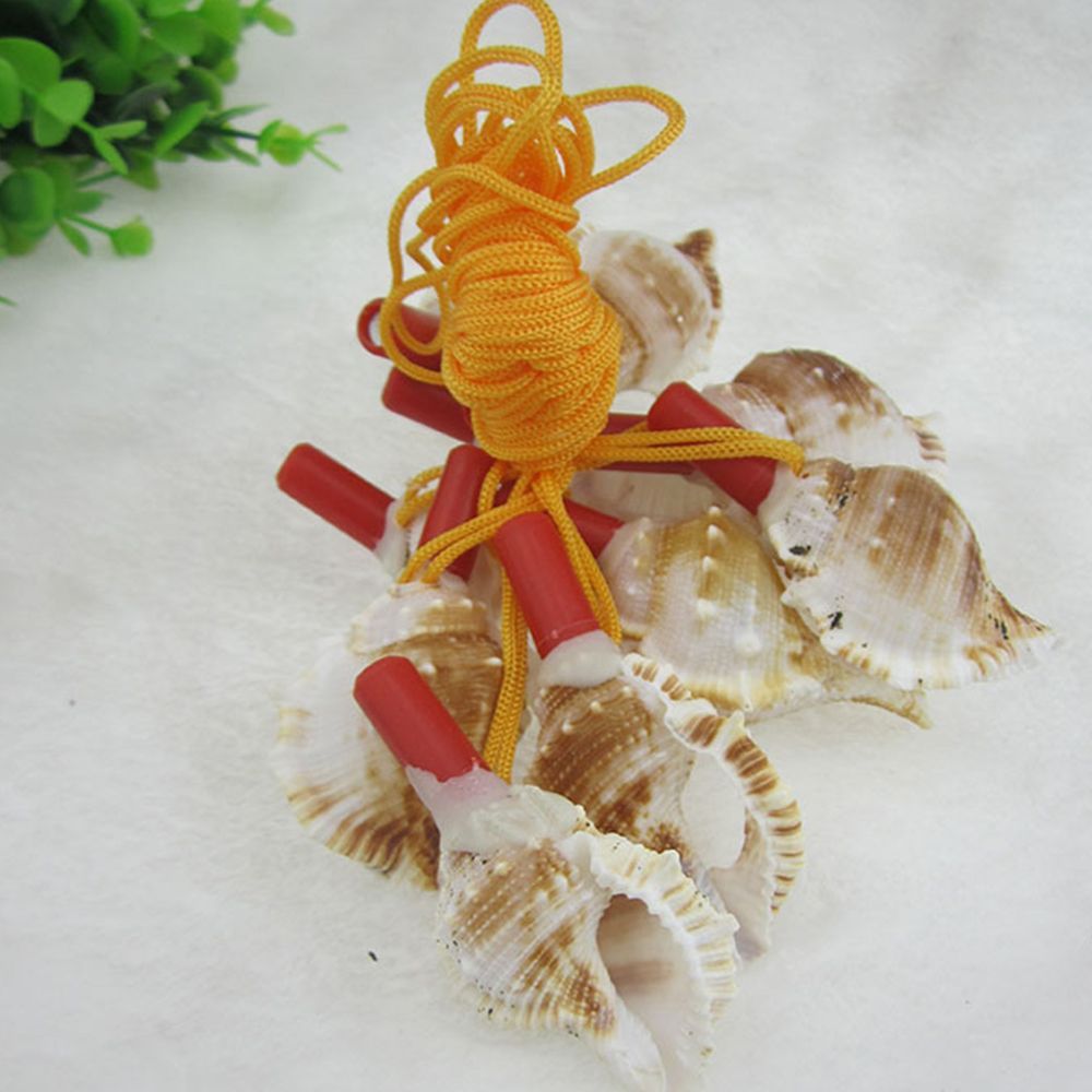 Instrument%20Tourism%20Party%20Horn%20Shipping%20Children%20Shell%20Creative%20Gift%20Survival%20Tool%20Conch%20Whistle%20-%20Image%206