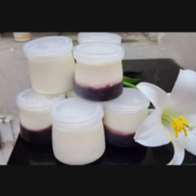 combo 10 hủ sữa chua 120ml