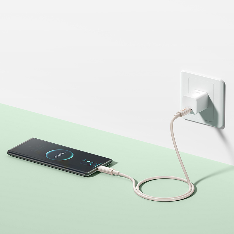 Cáp sạc nhanh Baseus Eco-friendly 100W USB C To USB Type C