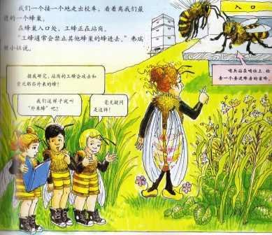 Magic school bus - 11 quyển