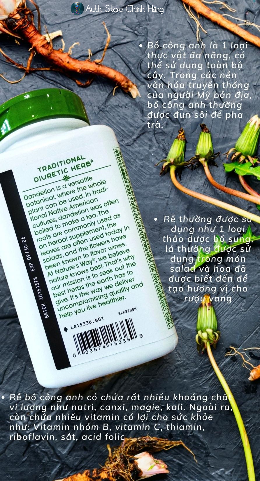 Rễ bồ công anh Dandelion Root Nature’s Way