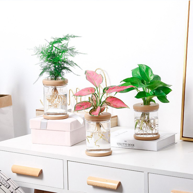 Zonee trong suốt Chậu hoa Thủy Canh tự động thấm nước Chậu hoa nhựa chậu hoa