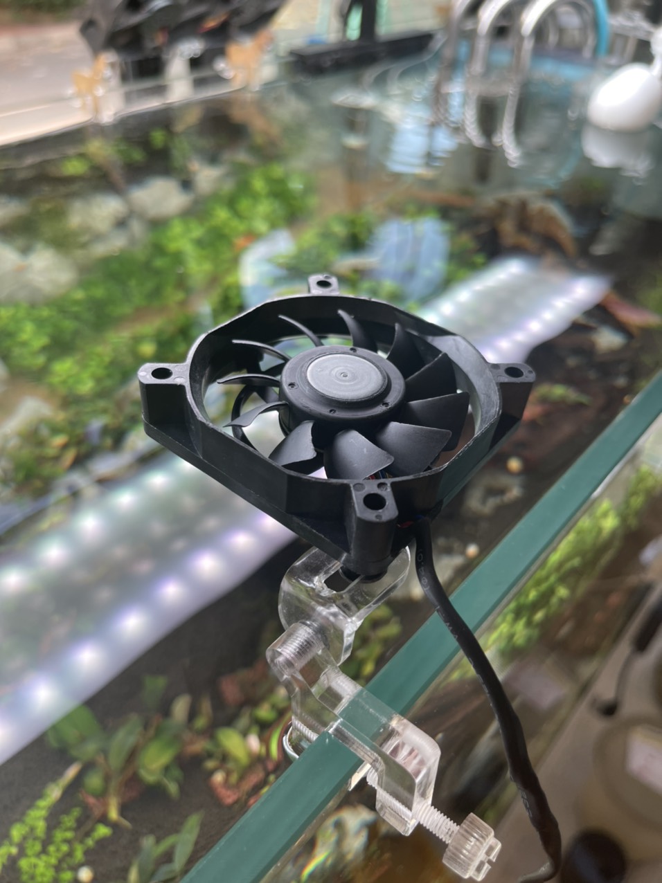 Quạt Mini Làm Mát Hồ Cá - Quạt Hồ Cá Mini - Quạt Làm Mát Hồ Cá Mini