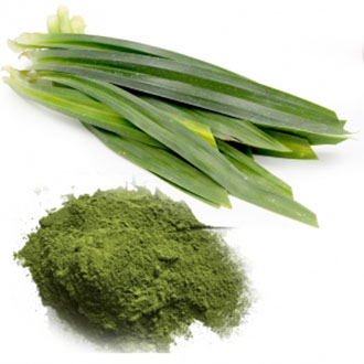 500g bột lá nếp nguyên chất sấy lạnh 100%