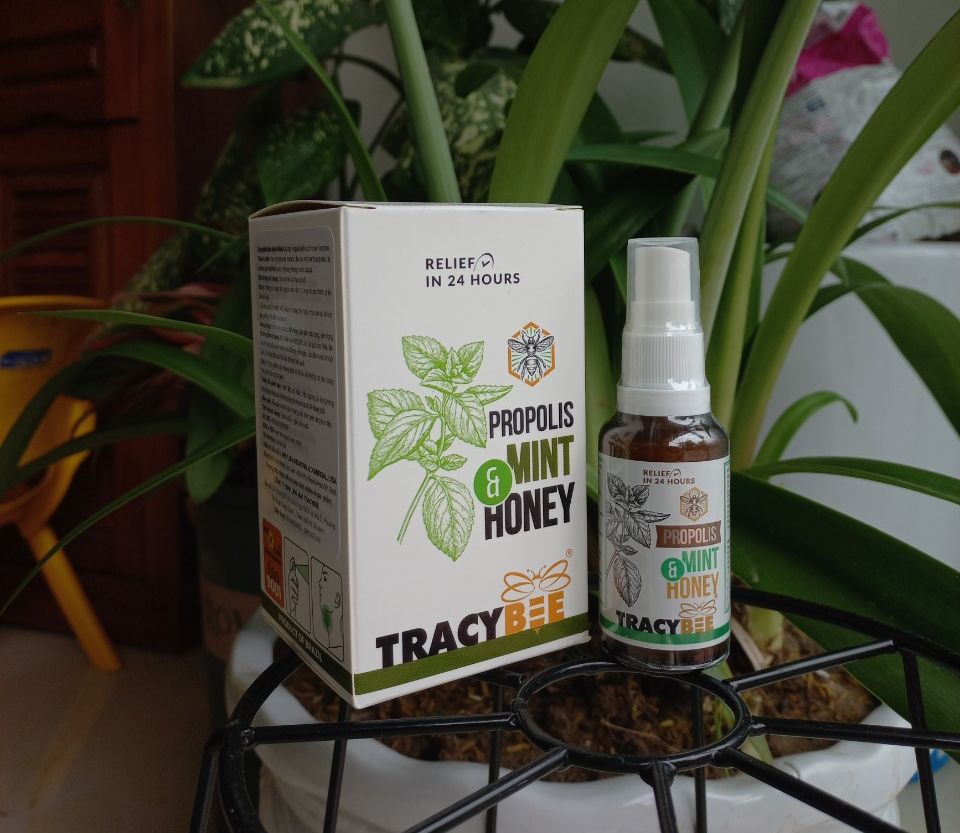 Xịt họng keo ong tracybee