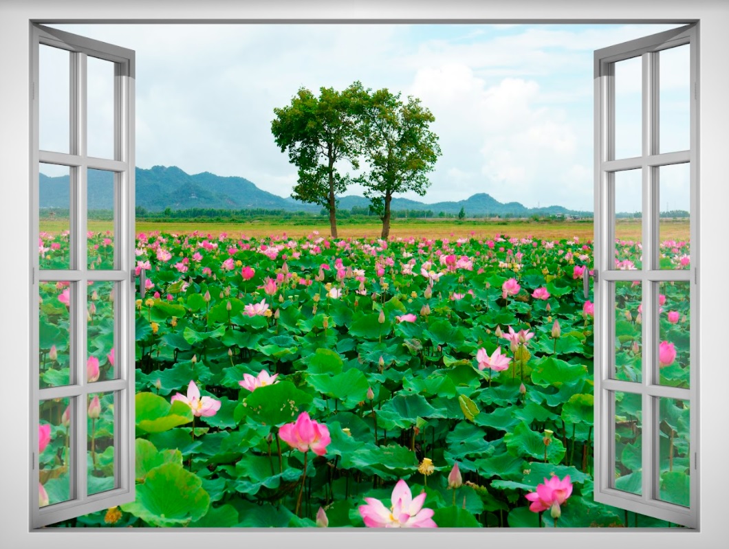 Tranh dán tường cửa sổ 3D VTC VT0091