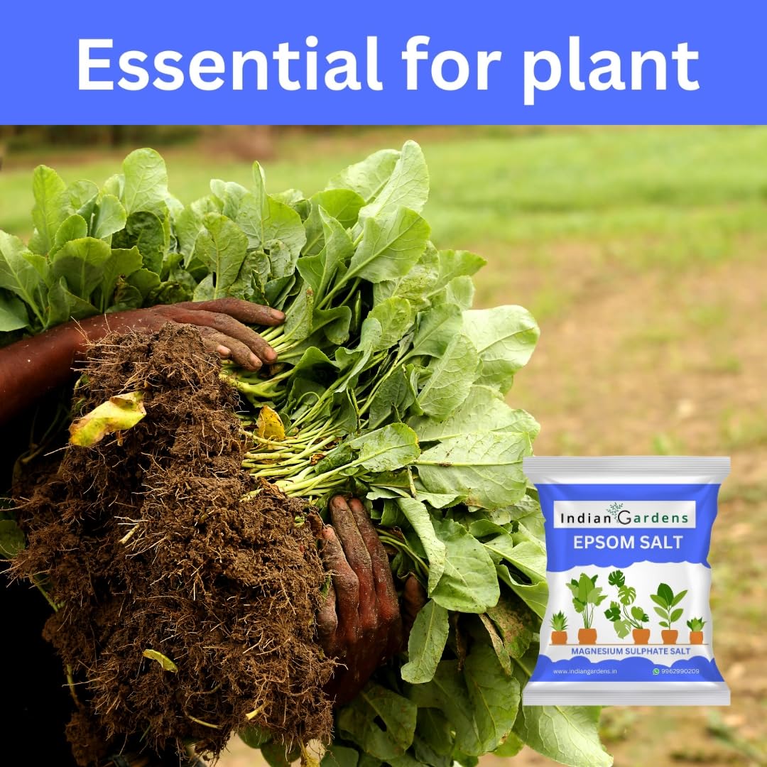 Epsom%20Salt%20Fertilizer%20For%20Plants%20-%201%20Kg%20-%20Image%205