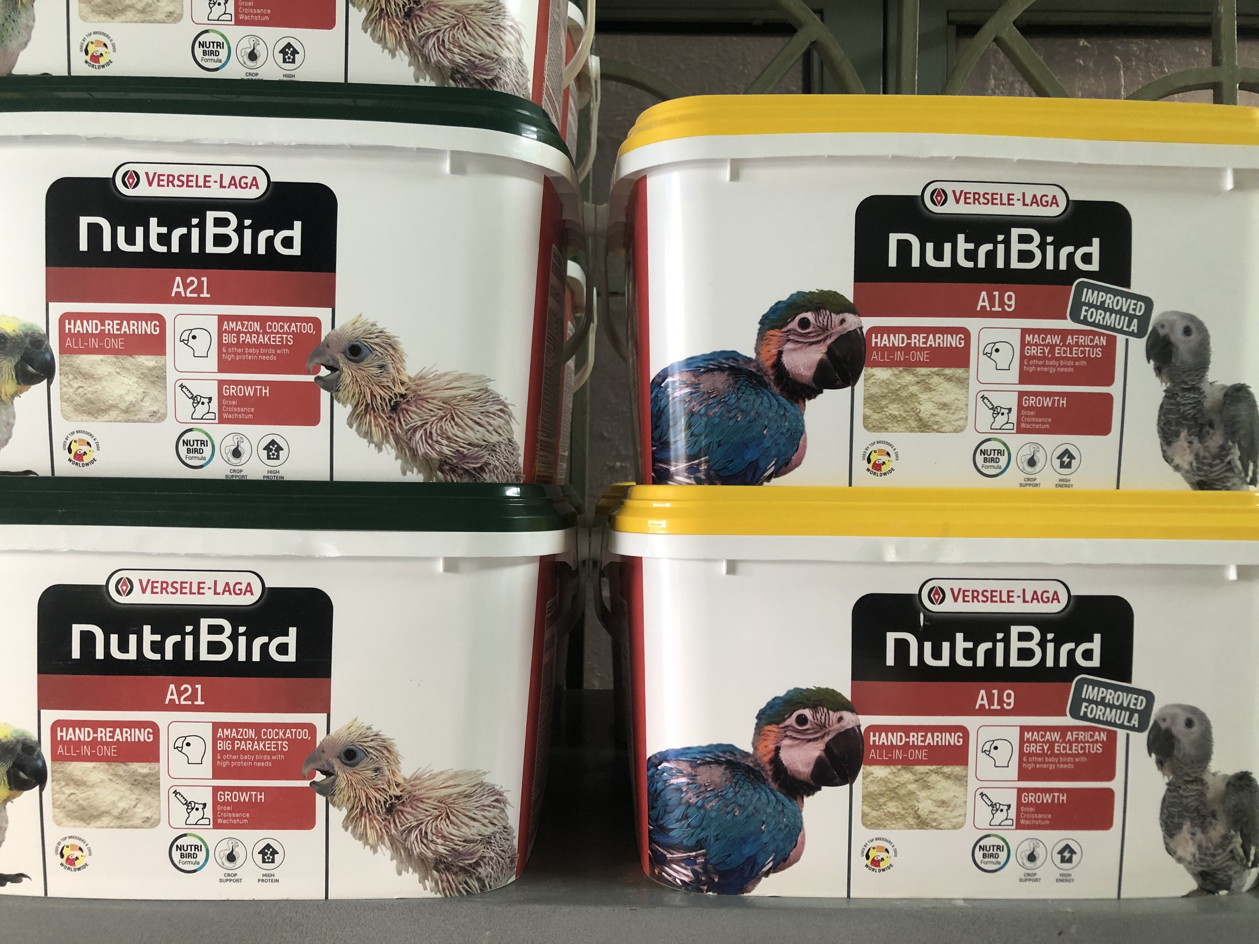 Bột cho vẹt a21/A19 50k/ 100gr (thùng 3kg chiết lẻ)