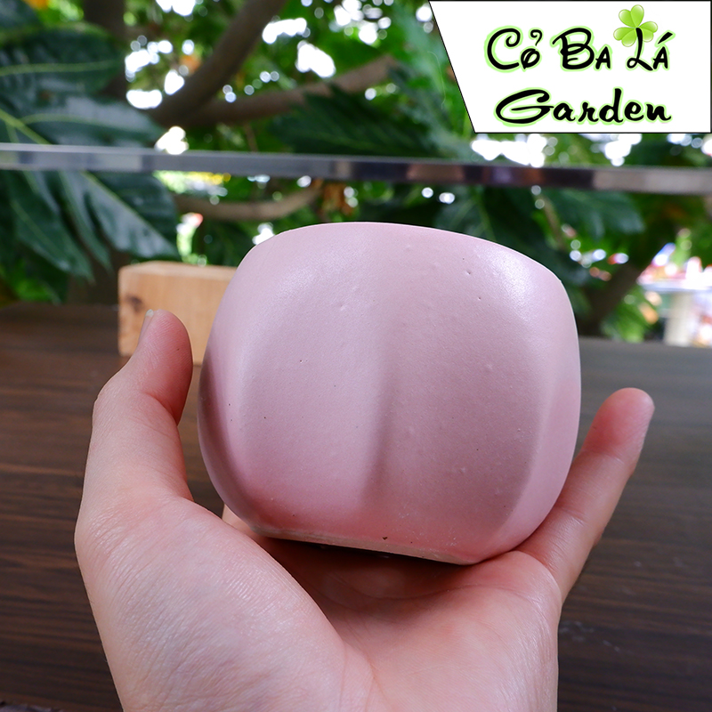 chậu sứ bát tràng-hình bóng lõm