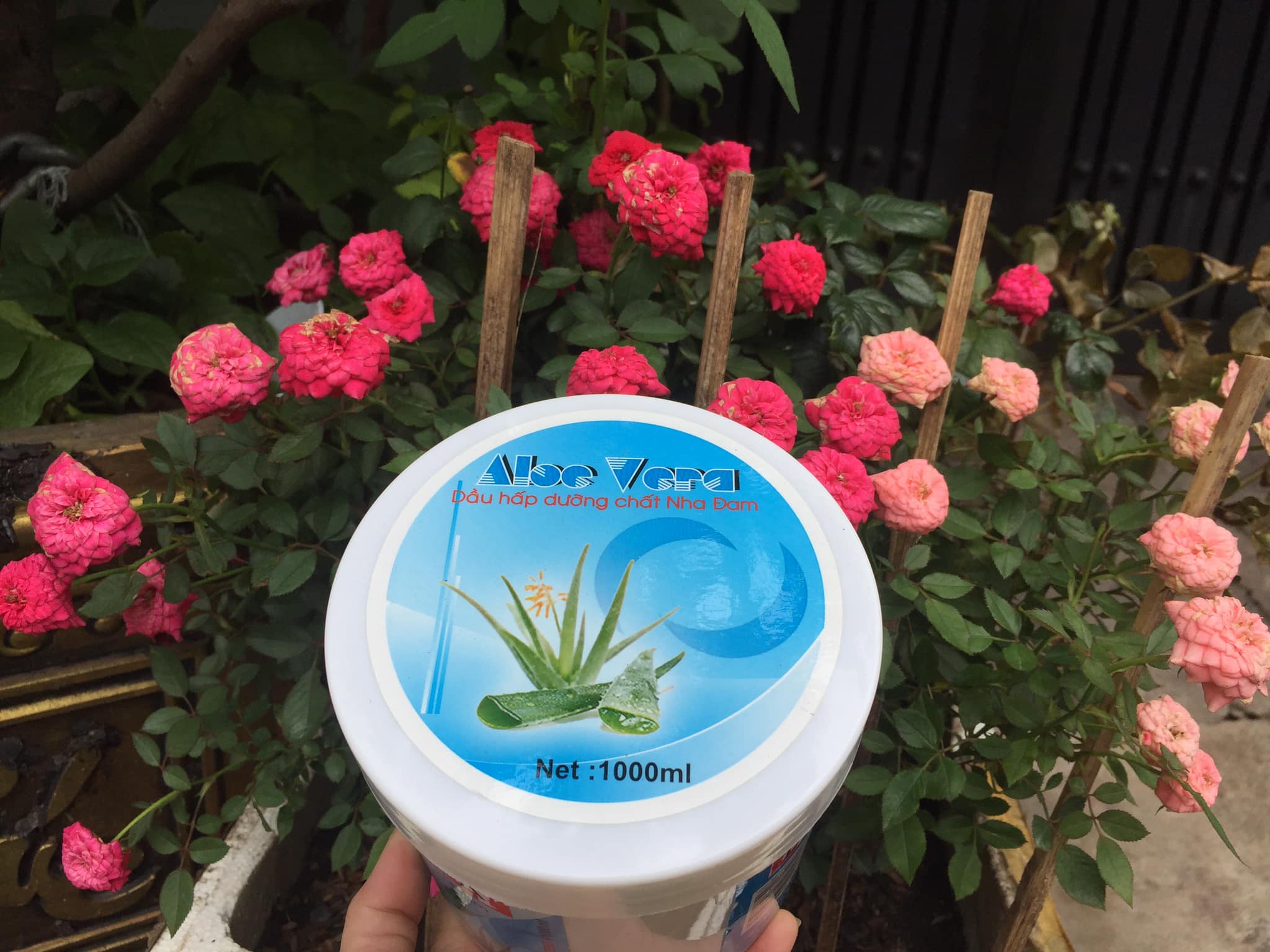 Dầu hấp dưỡng tóc LK tinh chất Nha Đam 1000ml giúp mọc tóc