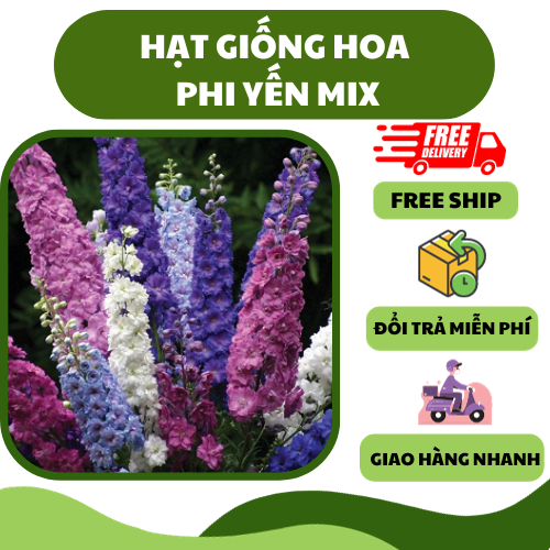 Hạt giống hoa phi yến nhiều màu - hoa đẹp, trồng sân vườn