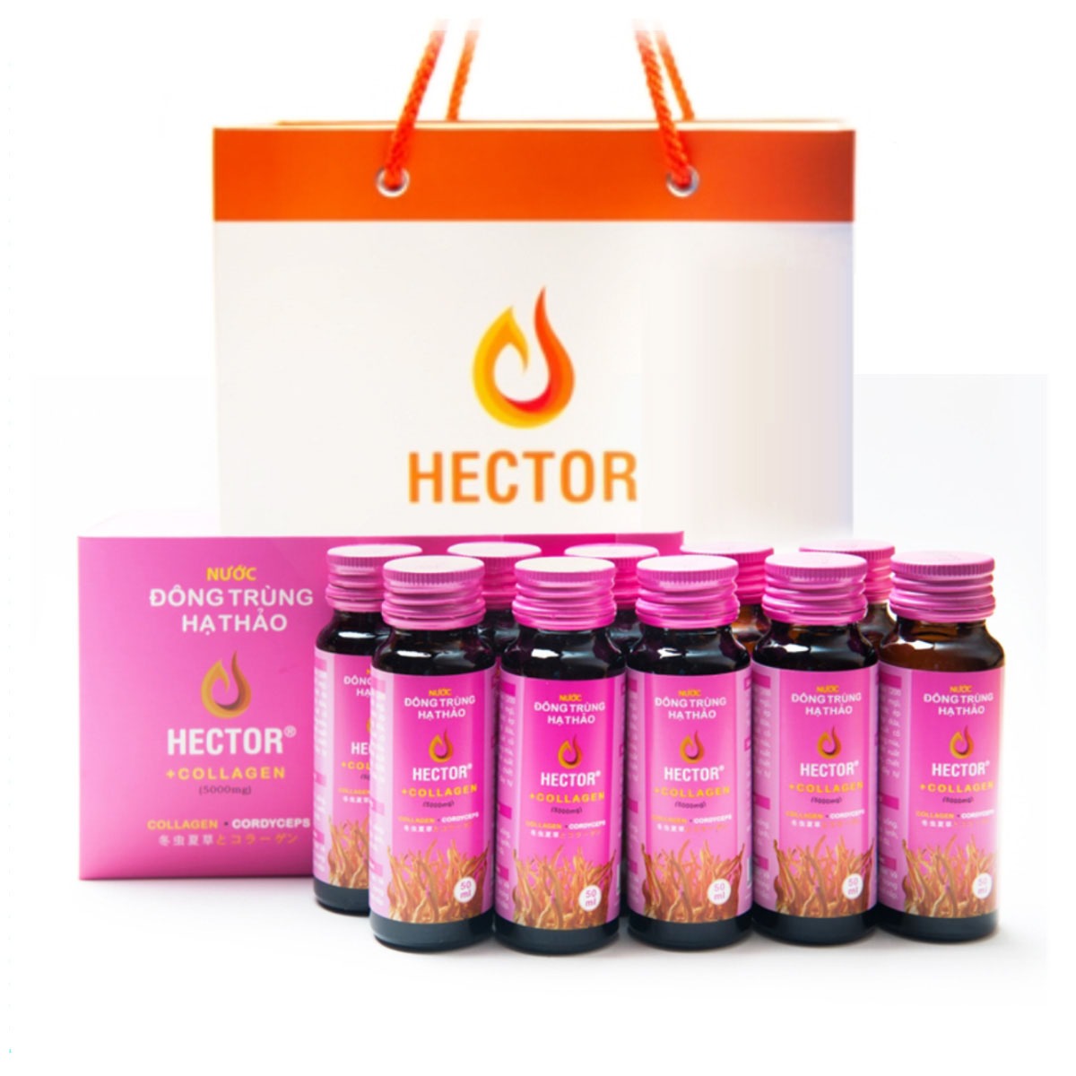 Hector collagen Cordyceps (pack of 10 bottles x 50ml), collagen drinking water, whitening, dark gray, melasma dimming, hair loss, increase physiological