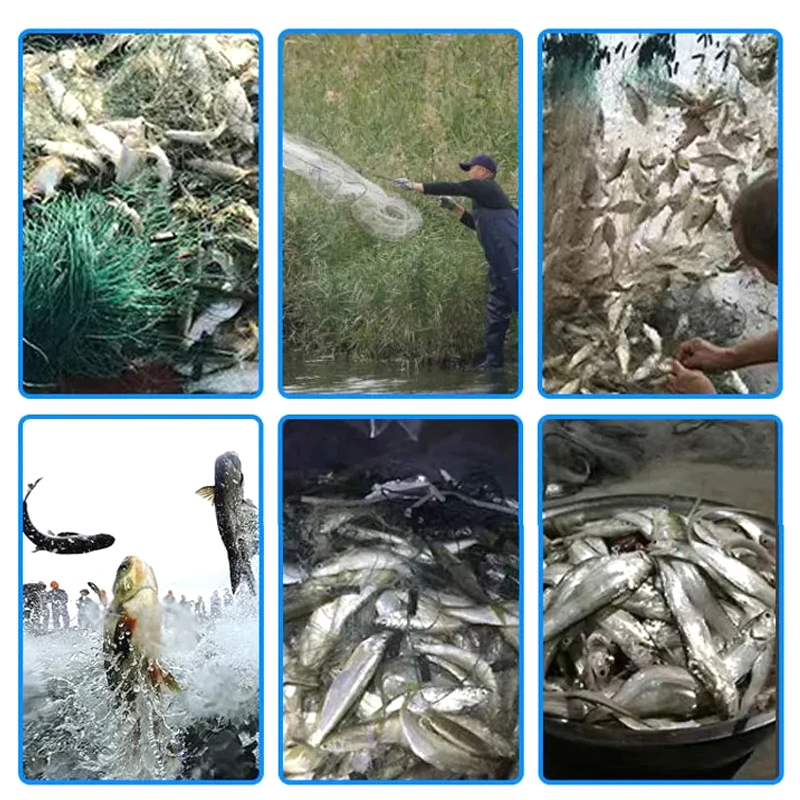 8/15/20/30M Fishing Net Nylon Fish Network Monofilament Fishing Net Float Trap Single Mesh Netting Tackle Tool Accessories Junna. 