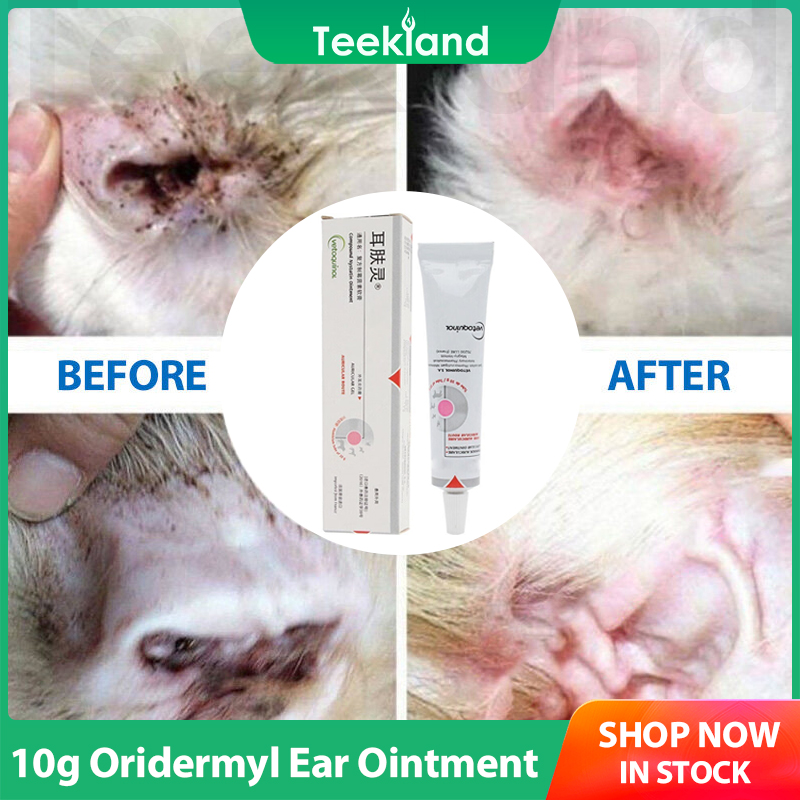 Oridermyl Ear Ointment 10g for Dogs and Cats EXP 2025 | Lazada