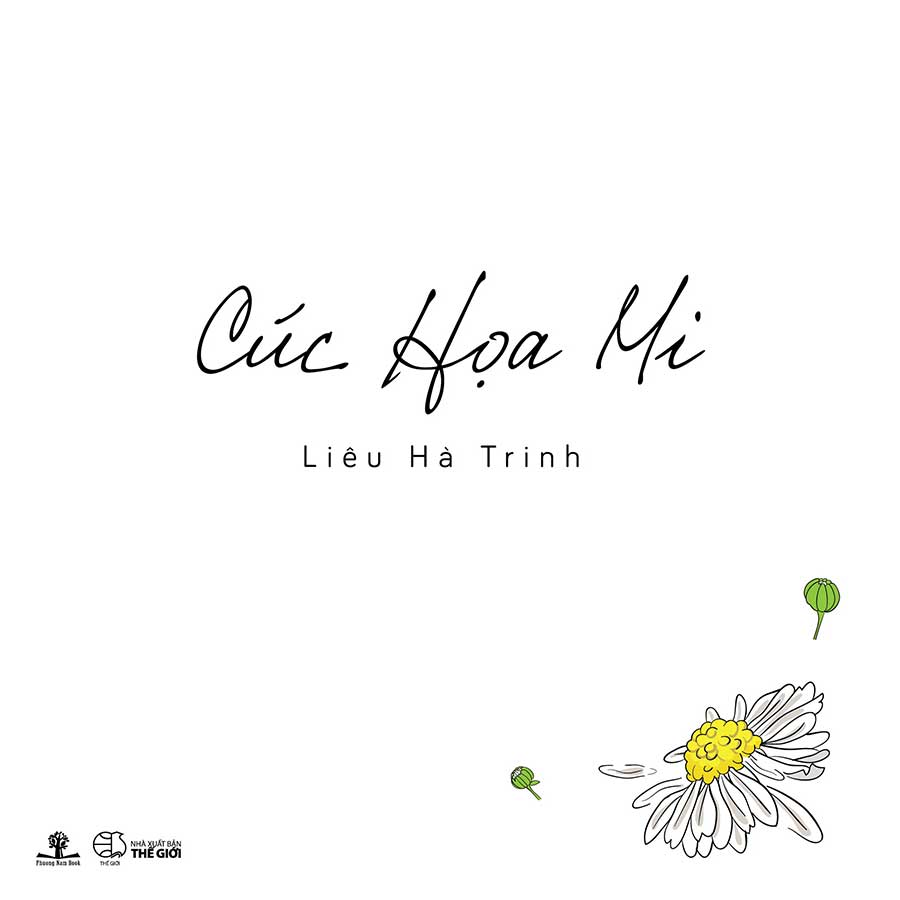 Cúc họa mi