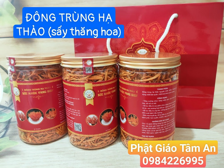 ĐÔNG TRÙNG HẠ THẢO
