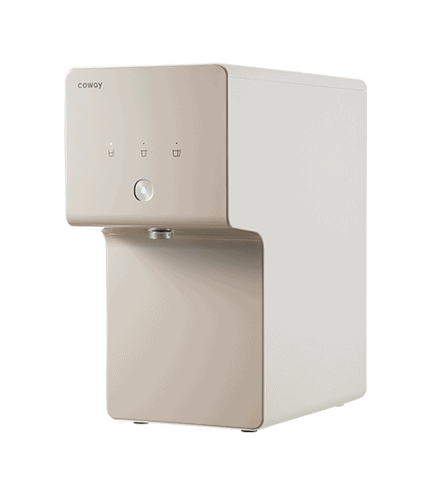 Máy lọc nước Coway Cinnamon (P-6320R)
