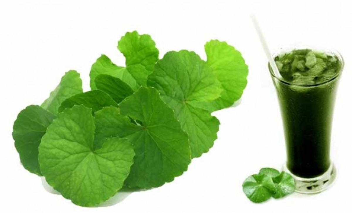 Hạt giống rau má 1g