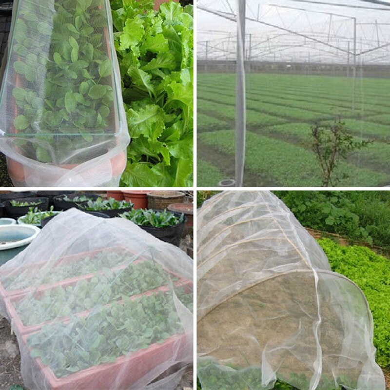 Bird proof net, escape proof net, greenhouse, vegetable farming