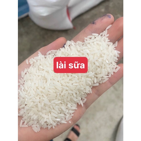 Gạo Lài Sữa dẻo dai thơm cơm (10kg)