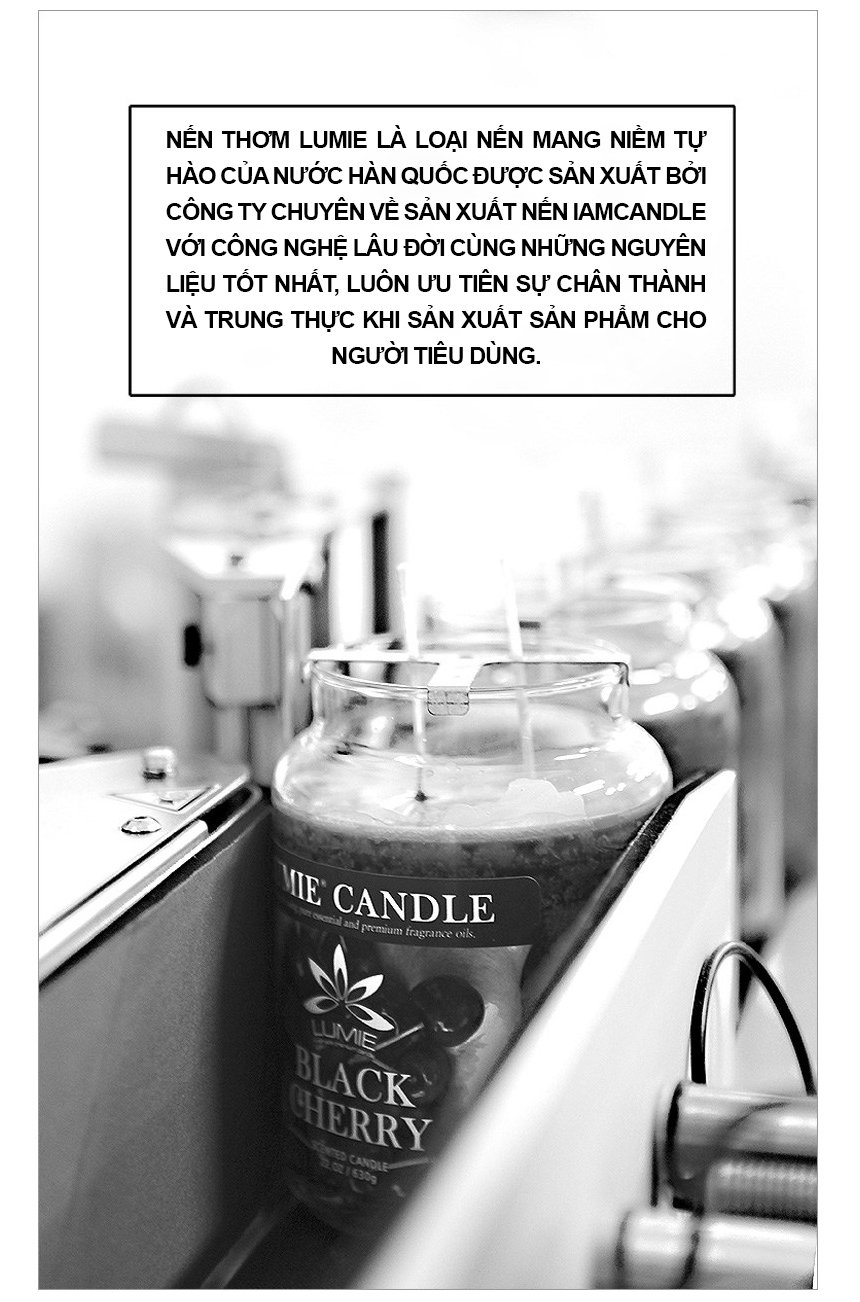 Nến Thơm Hàn Quốc Lumie Candle - Size L 630g