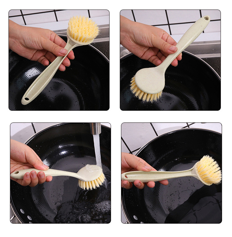 CÂY RỬA CHÉN LÚA MẠCH