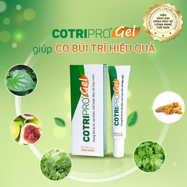 COTRIPRO - Gel Bôi Trĩ Nội, Trĩ Ngoại