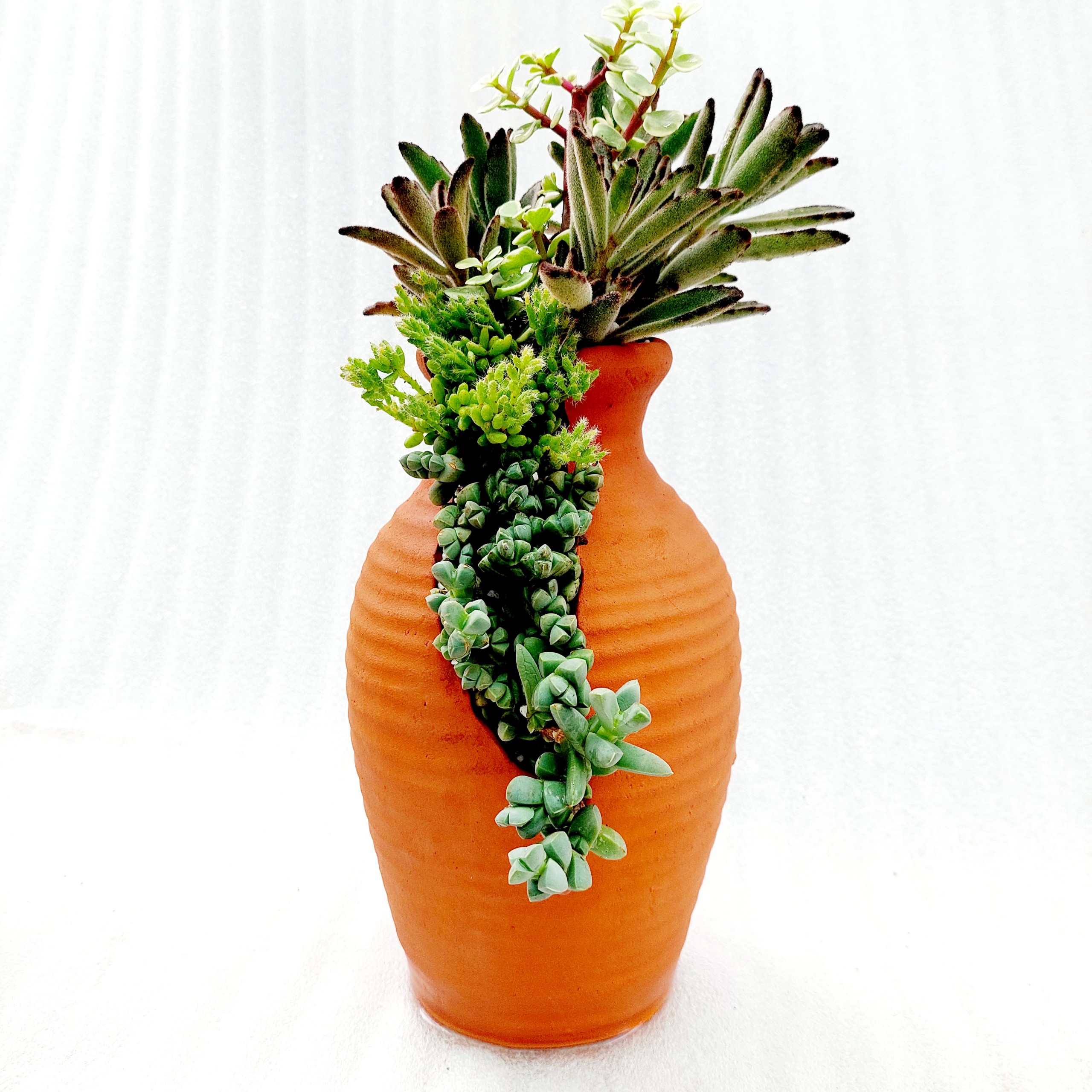 Chậu đất nung - Bình hoa 925, miệng chậu 9cm, chiều cao 25cm
