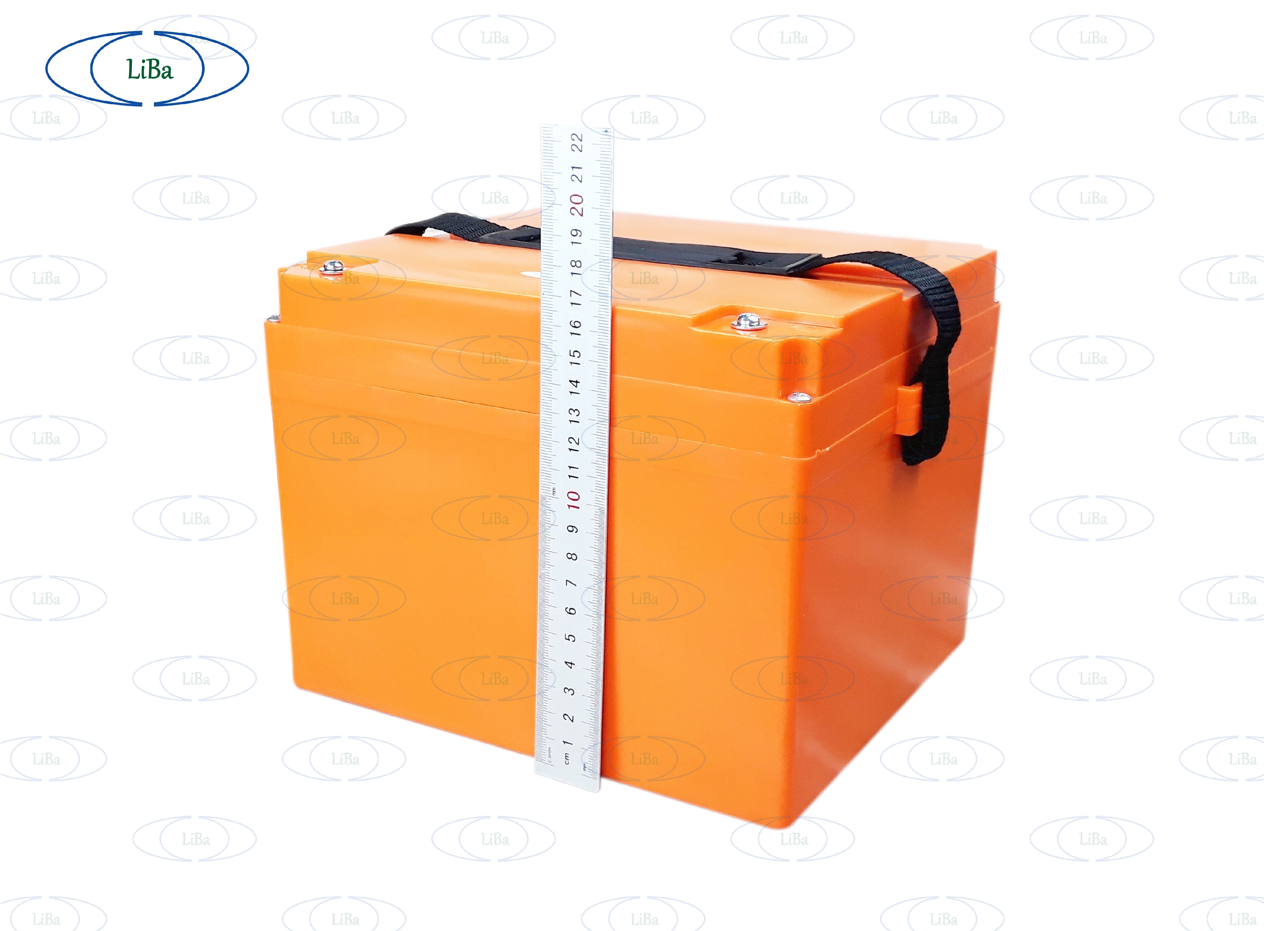 Pin Xe Máy Điện, 63V 21Ah, thay thế 5 bình acquy 12V - Liba