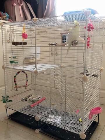 COMBO Chuồng Chim, Thỏ, Hamster - <<Chuồng Lưới Đa Năng Tự Lắp Ghép>>