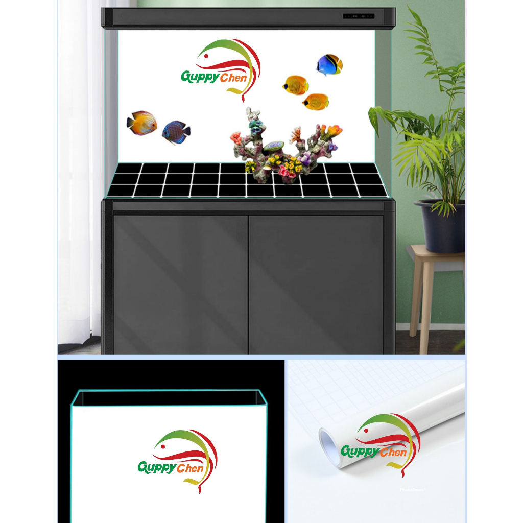 Decal dán bể cá, dán nền hồ cá cảnh