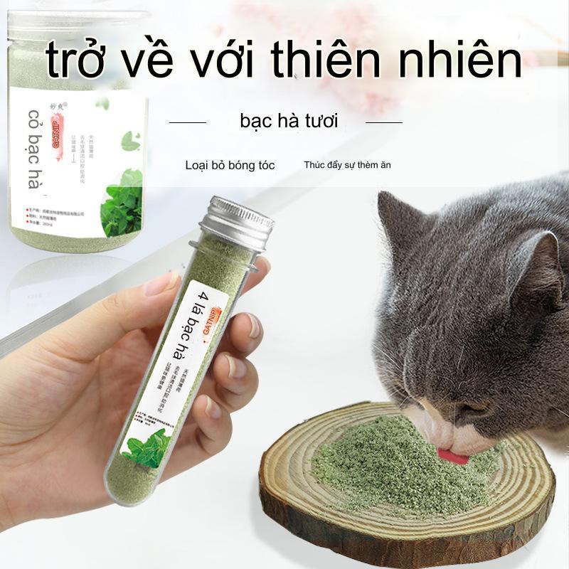 Cỏ bạc hà mèo khô Catnip cho mèo