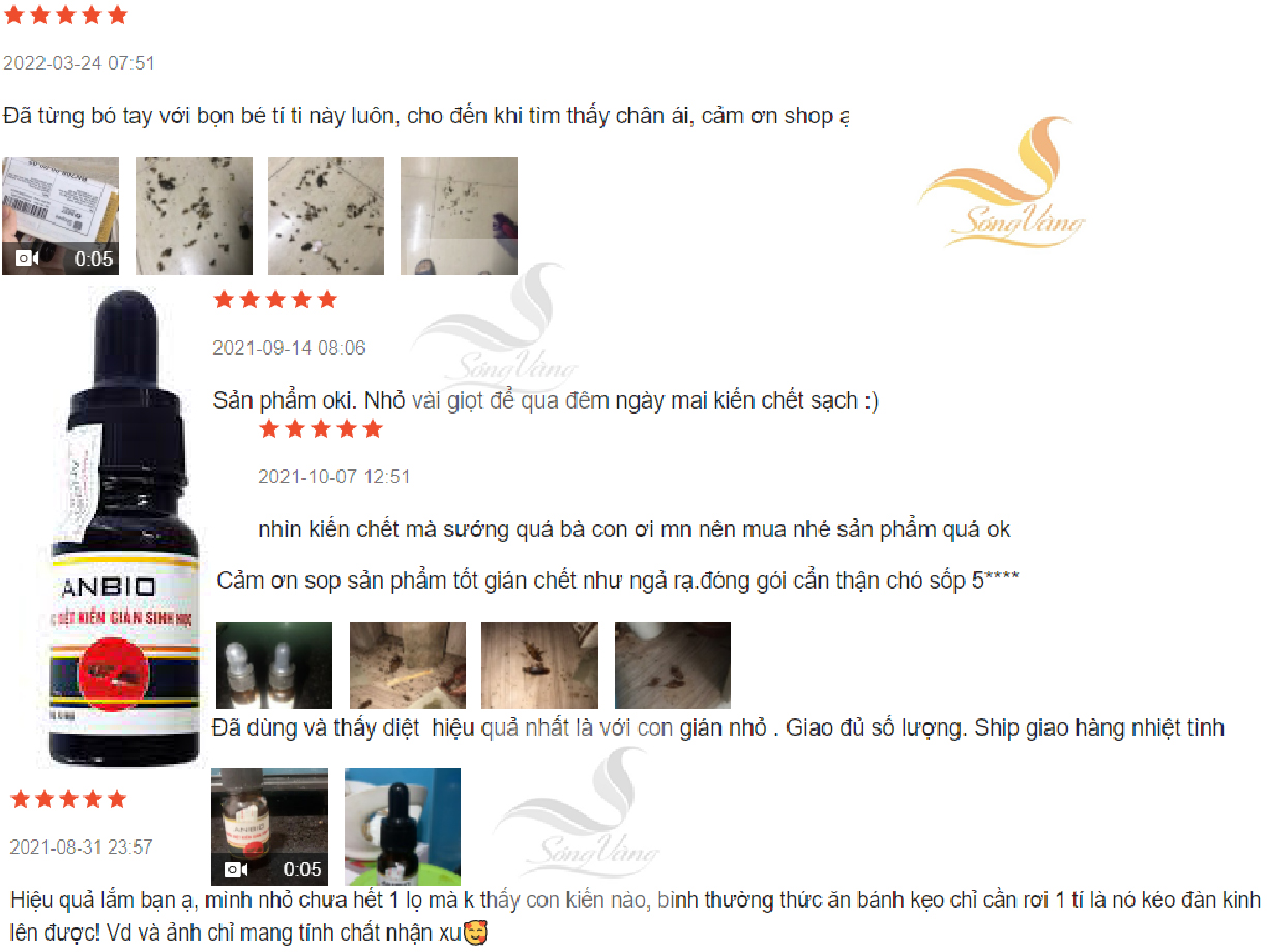 Diệt Kiến Gián Sinh Học Việt Nam AnBio