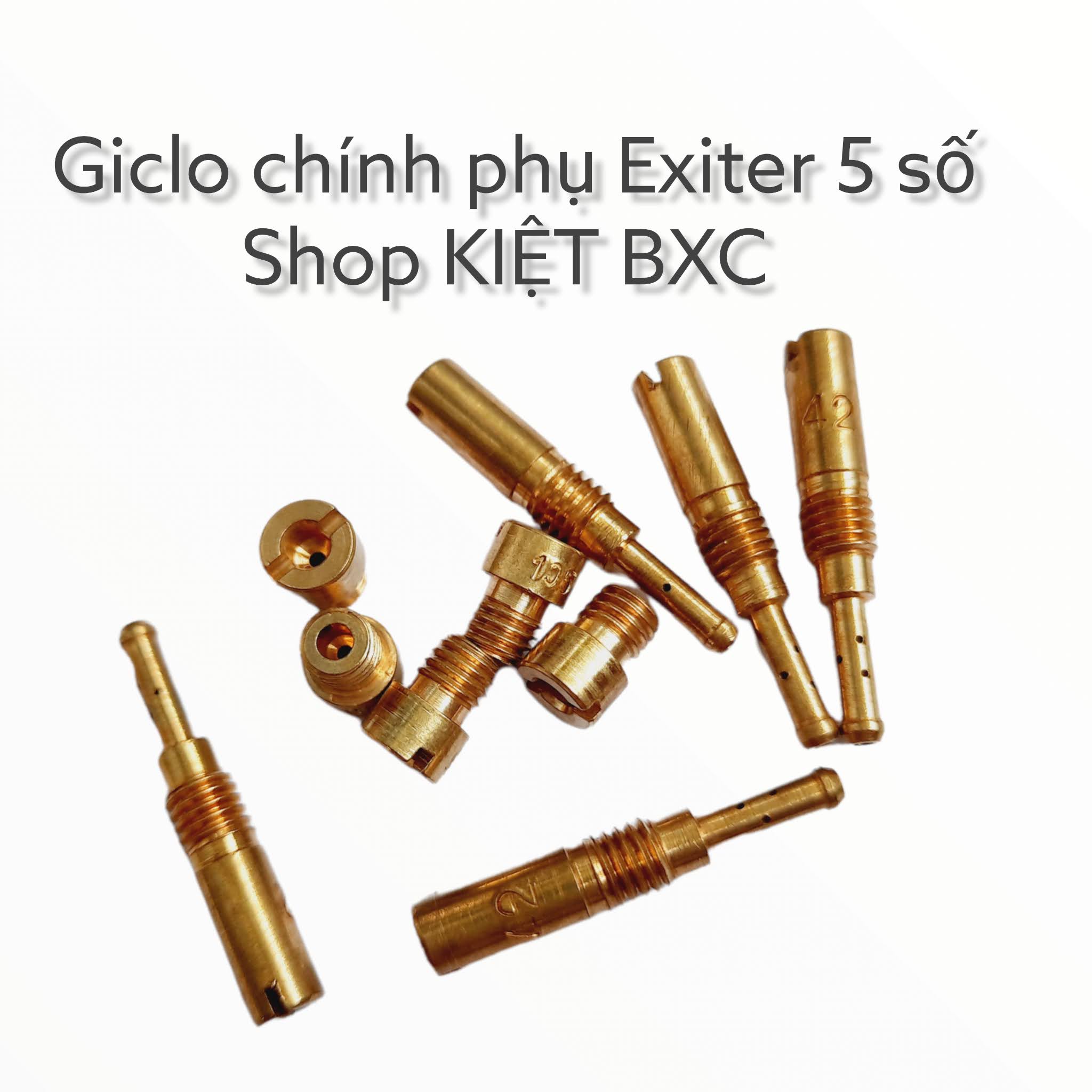 GICLO XĂNG BỘ CHẾ EXITER 5 SỐ (BÁN LẺ)