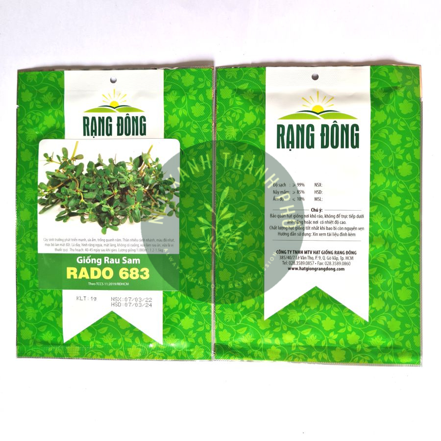 [GIAO HÀNG 2 GIỜ] Hạt giống Rau Sam 1gr