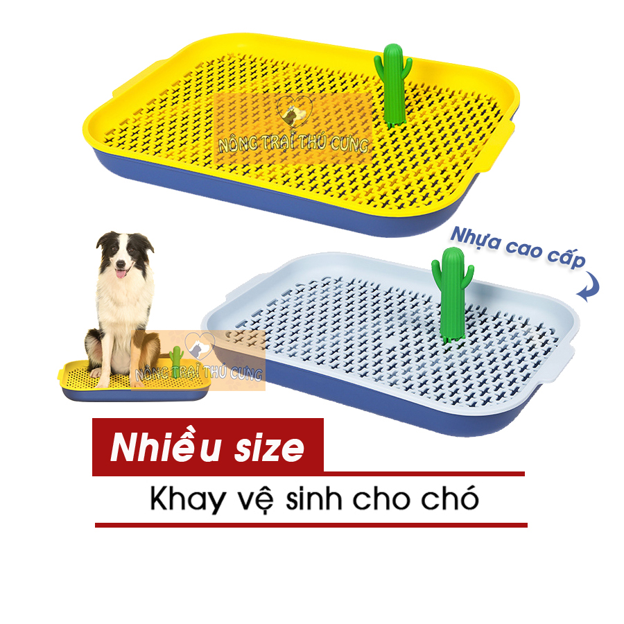 Khay vệ sinh cho chó pakeway oasis - nhiều size - giao màu ngẫu nhiên -