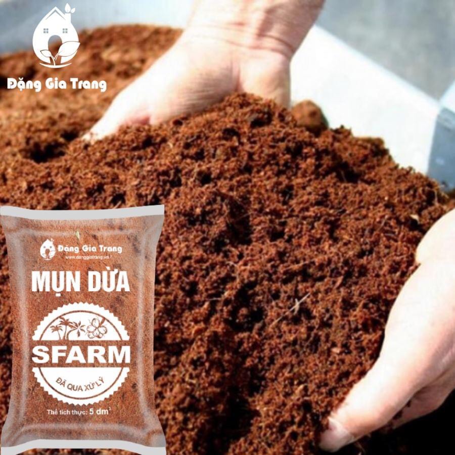 GIÁ THỂ MỤN DỪA ĐÃ QUA XỬ LÝ SFARM